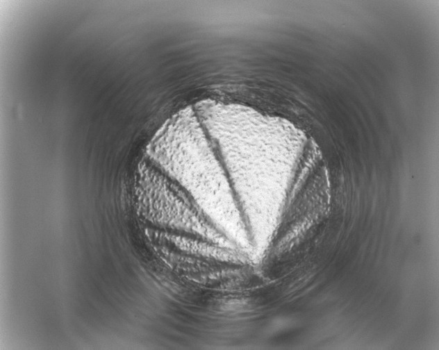 X0000066000651200603242033