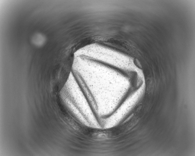 X0000066000655200603242033