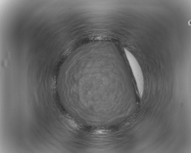 X0000066000657200603242033