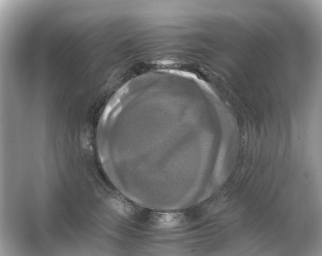 X0000066000663200603242033