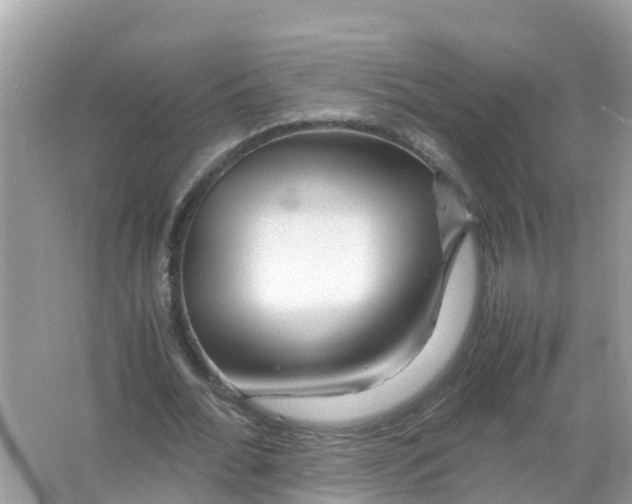 X0000066000676200603242032