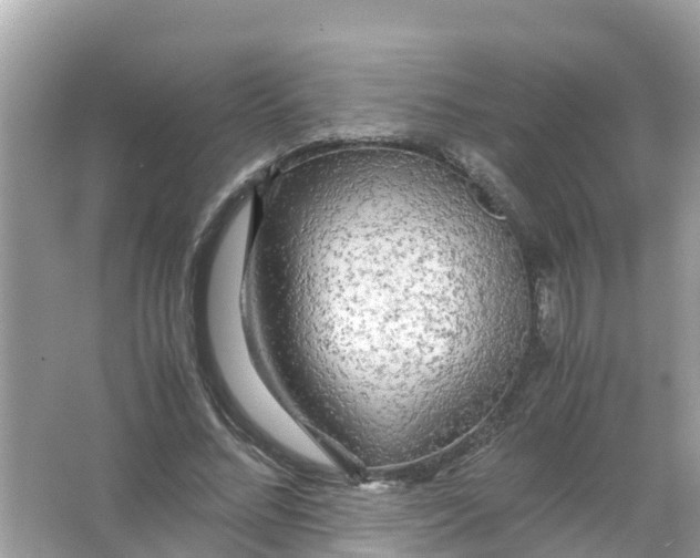 X0000066000684200603242032