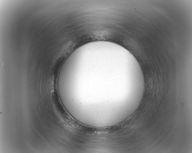 X0000066000694200603242032