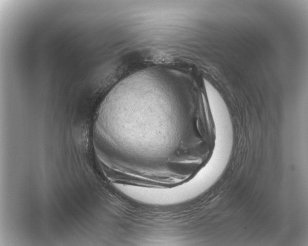 X0000066000697200603242032