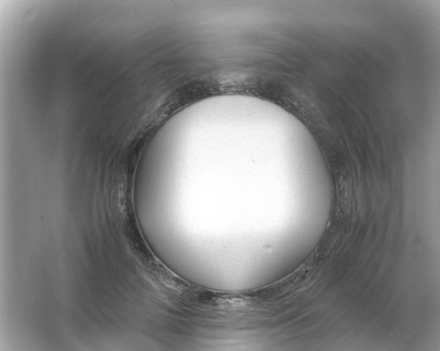 X0000066000698200603242032
