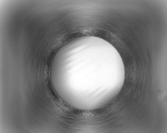 X0000066000702200603242032