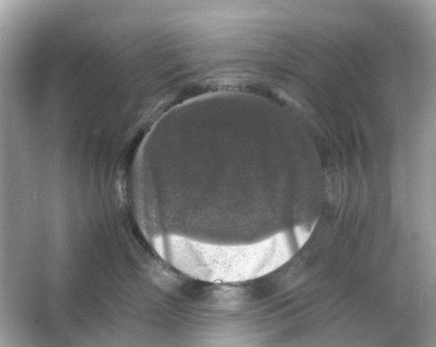 X0000066000718200603242031