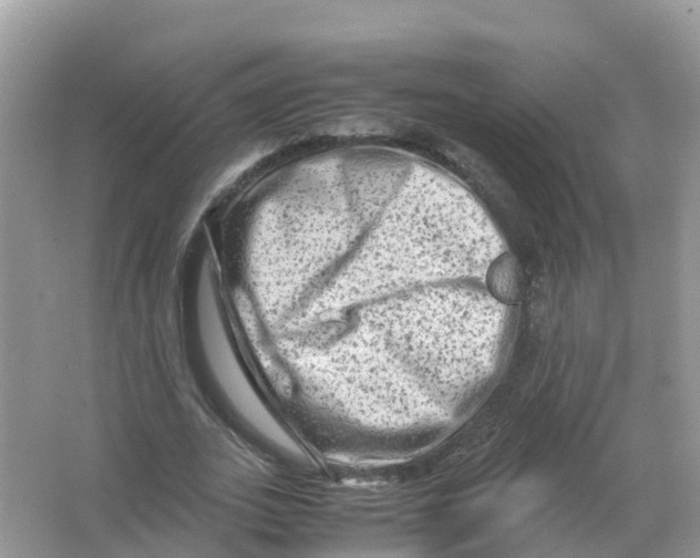 X0000066000727200603242031