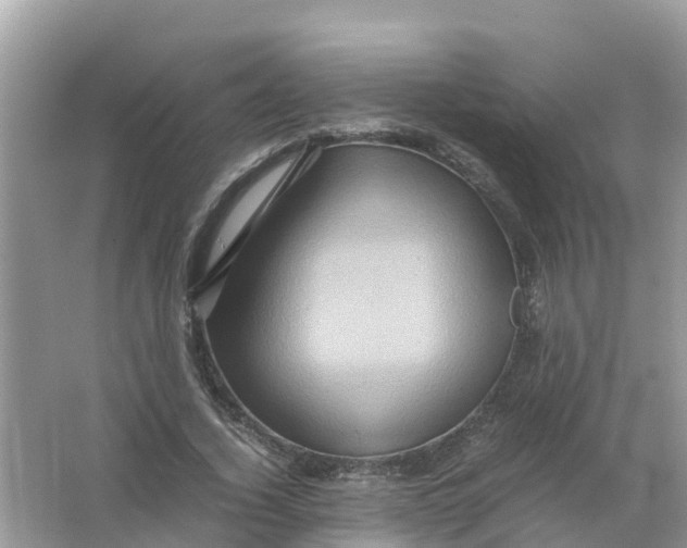X0000066000732200603242031