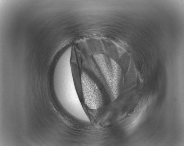 X0000066000735200603242031