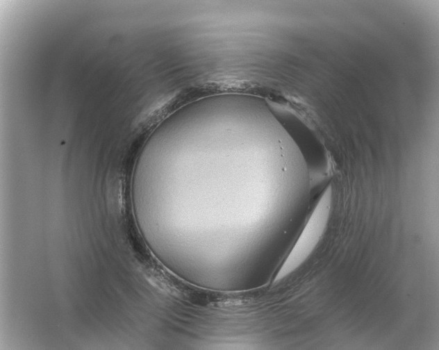 X0000066000740200603242031