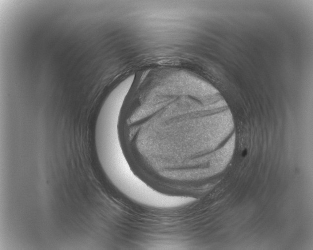 X0000066000748200603242031
