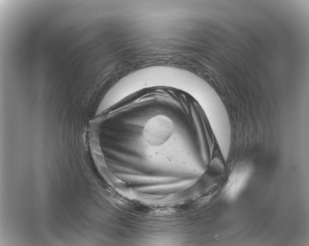 X0000066000750200603242031