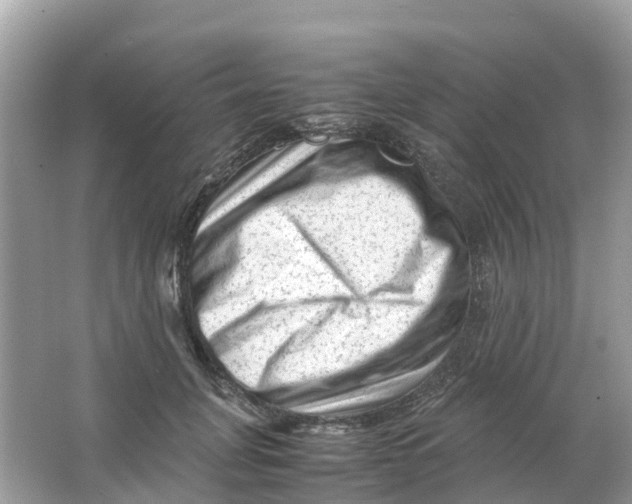 X0000066000751200603242031