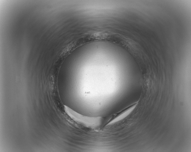 X0000066000752200603242031