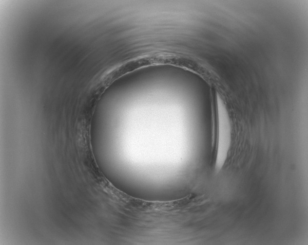 X0000066000773200603242031
