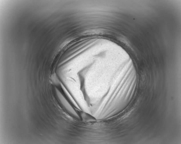 X0000066000778200603242030