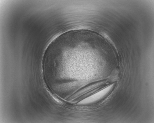 X0000066000789200603242030