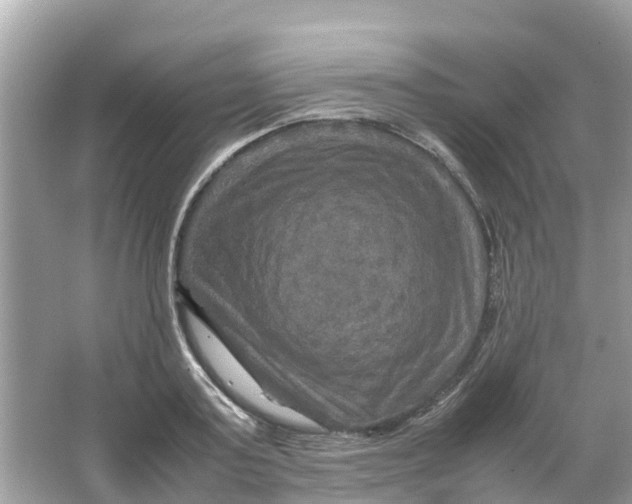 X0000066000795200603242030