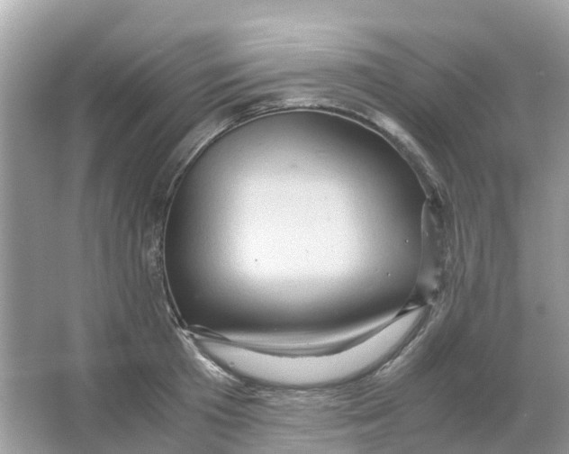 X0000066000801200603242030