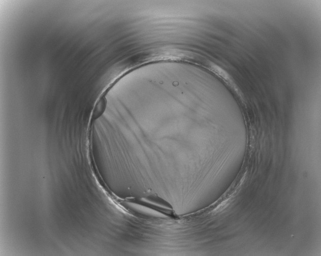 X0000066000802200603242030