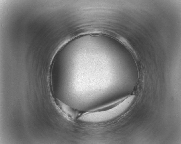 X0000066000805200603242030