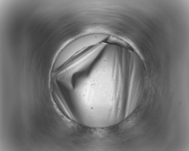 X0000066000815200603242030