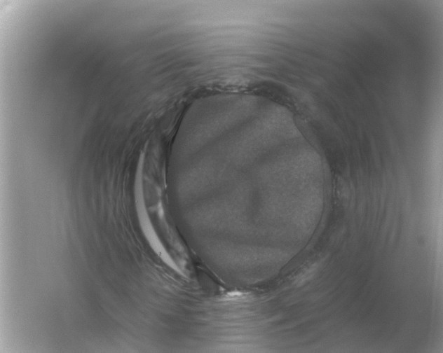 X0000066000818200603242029