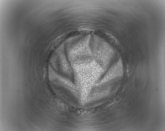 X0000066000821200603242029