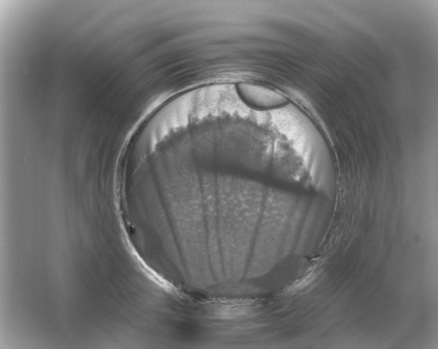 X0000066000851200603242030
