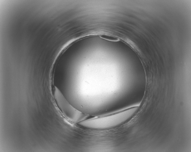 X0000066000854200603242030