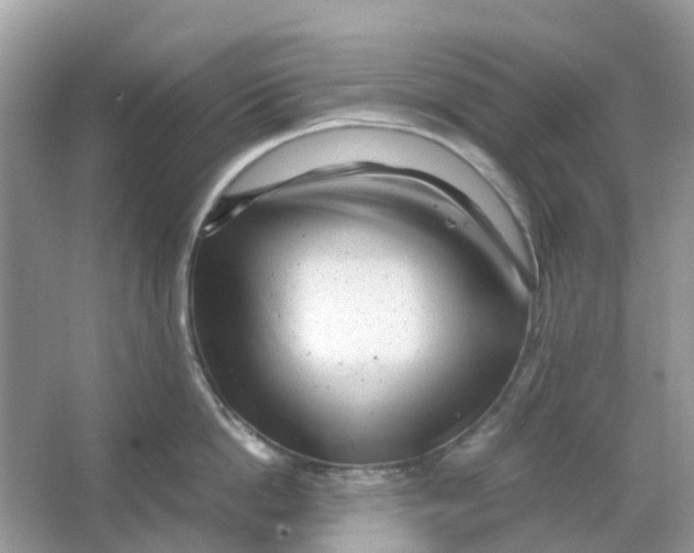 X0000066000862200603242030
