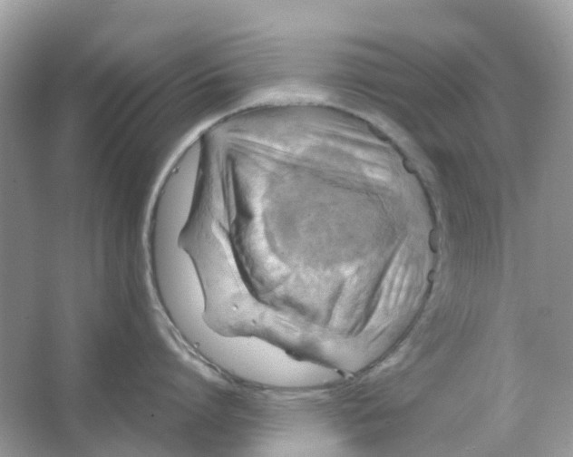X0000066000864200603242030