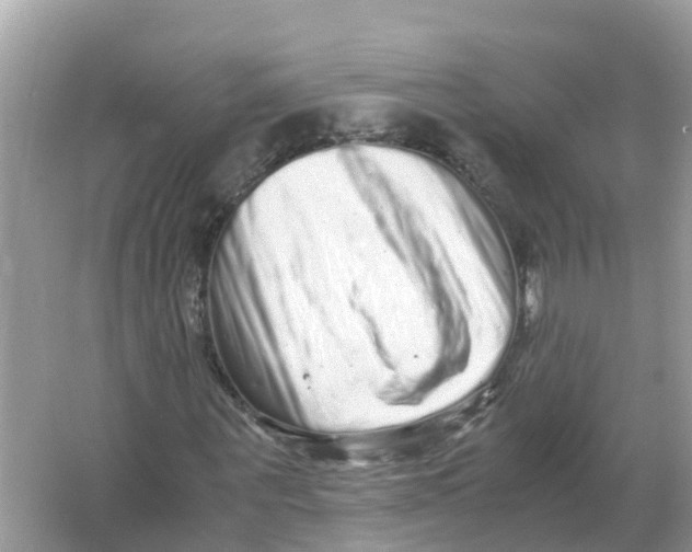 X0000066000867200603242029