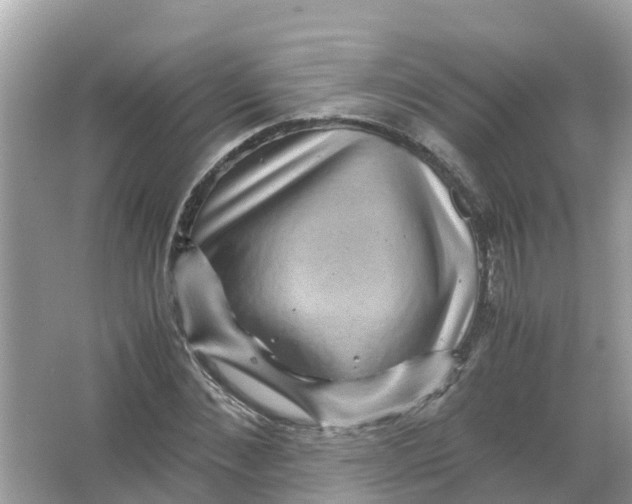 X0000066000876200603242029