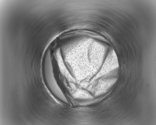 X0000066000894200603242028