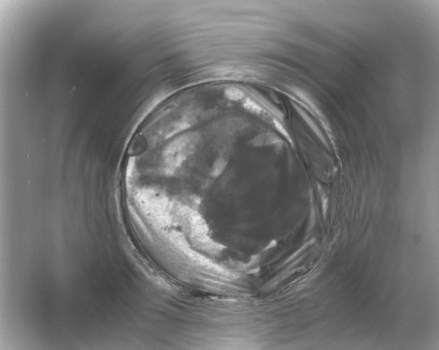 X0000066000899200603242028