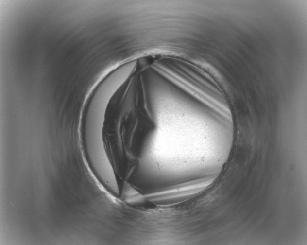 X0000066000902200603242028