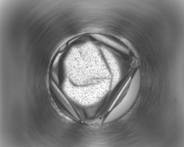X0000066000904200603242028