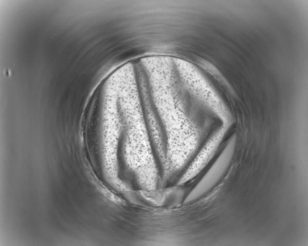 X0000066000908200603242028