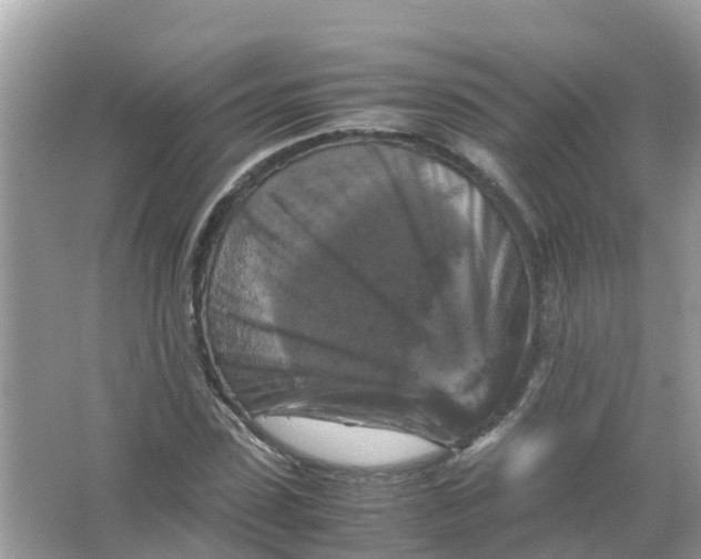 X0000066000923200603242027