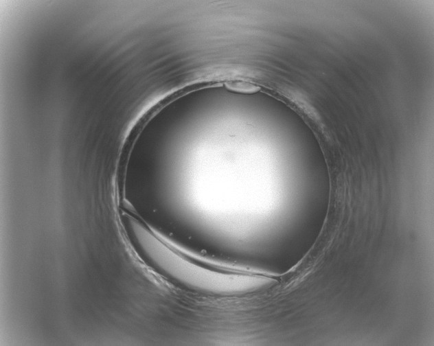 X0000066000936200603242028