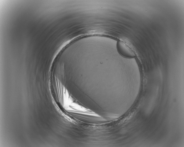X0000066000941200603242028