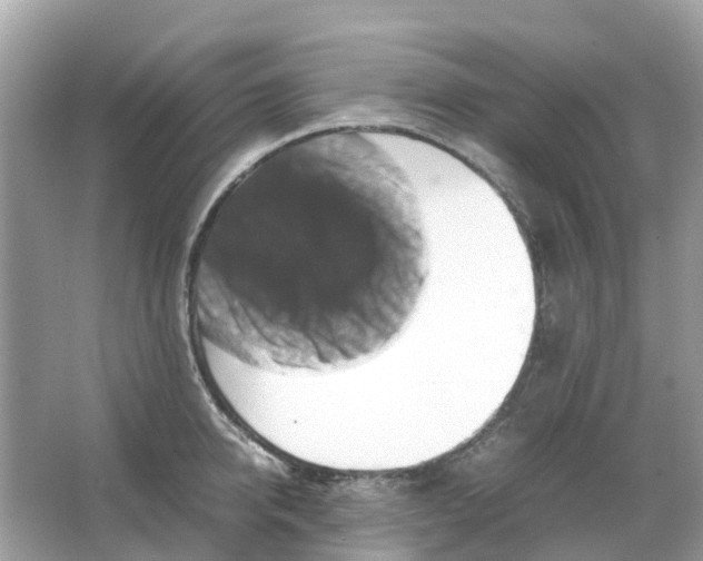 X0000066000950200603242028
