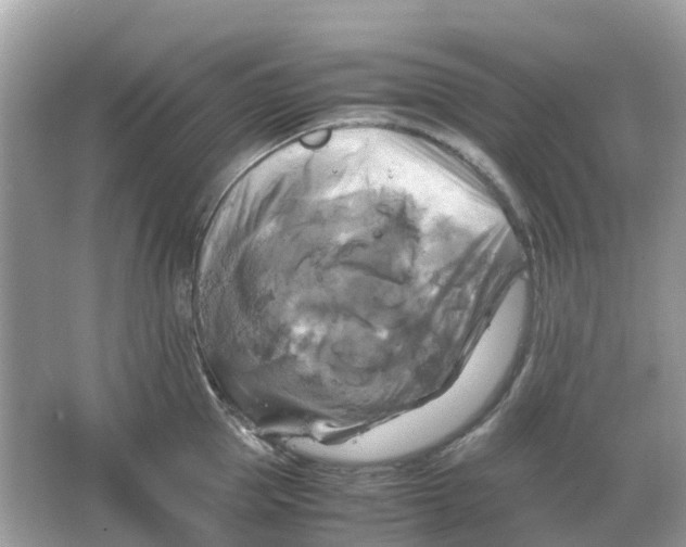 X0000066000953200603242028