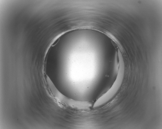 X0000066000956200603242028