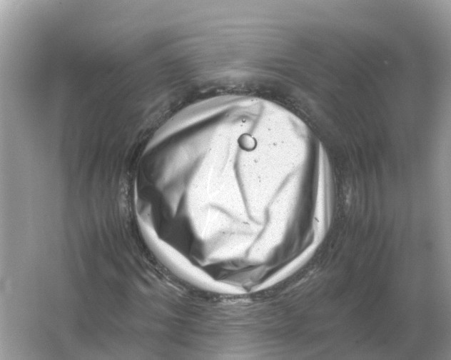 X0000066000964200603242027