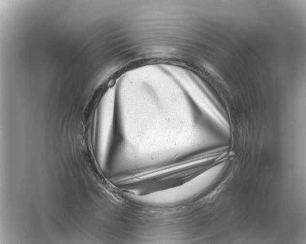 X0000066000970200603242027