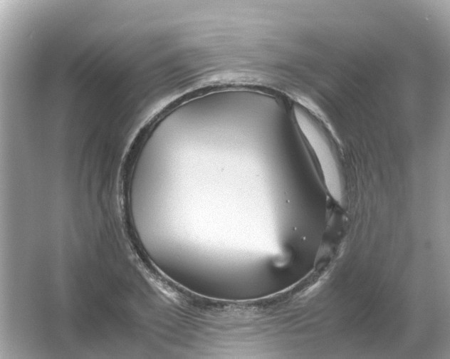 X0000066000981200603242027
