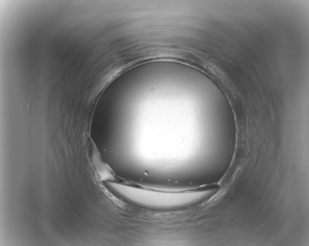 X0000066000985200603242027
